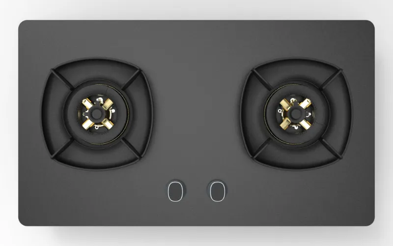 Sleek Dual Burner Gas Stove for Modern Home Cooks